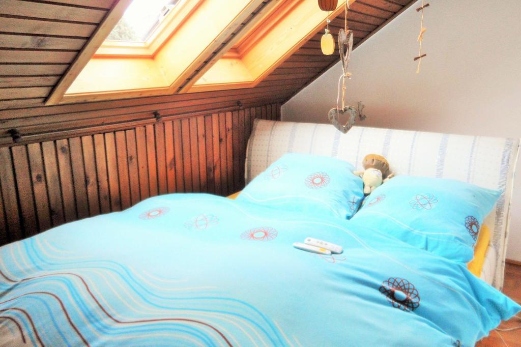 Ferienwohnung-Kuechler Oelsnitz  Стая снимка